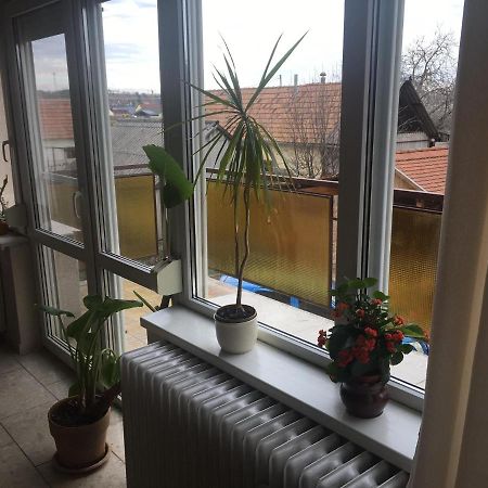 Tompos Vendégház és pince Villány Kültér fotó